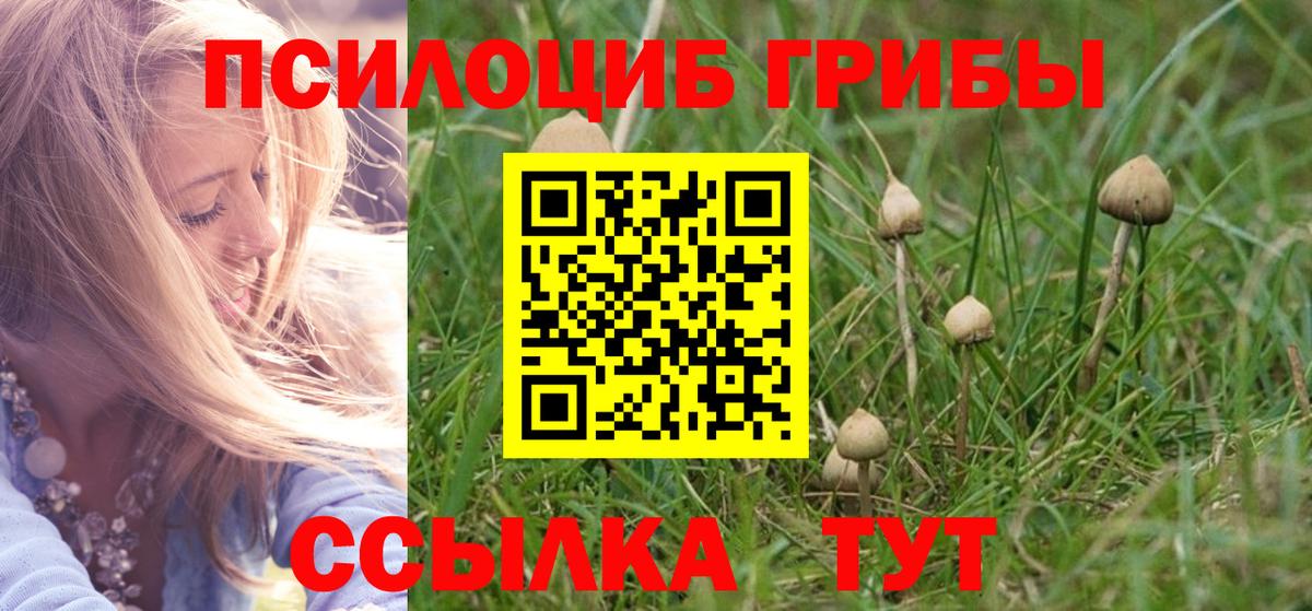 Гуково  Галлюциногенные грибы мухоморы  купить наркотики цена  Вход с VPN 